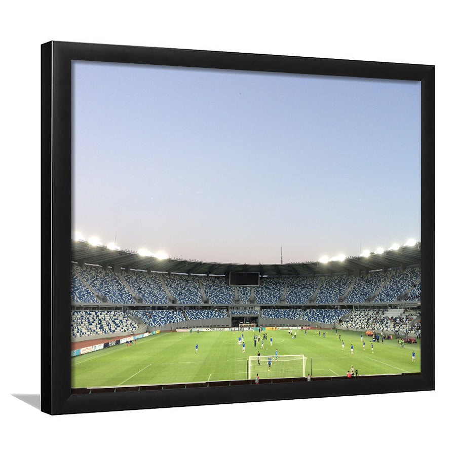 Boris Paichadze Dinamo, Stadium Canvas, Sport Art, Gift for him, Framed Art Print Wall Decor, Picture Framed
