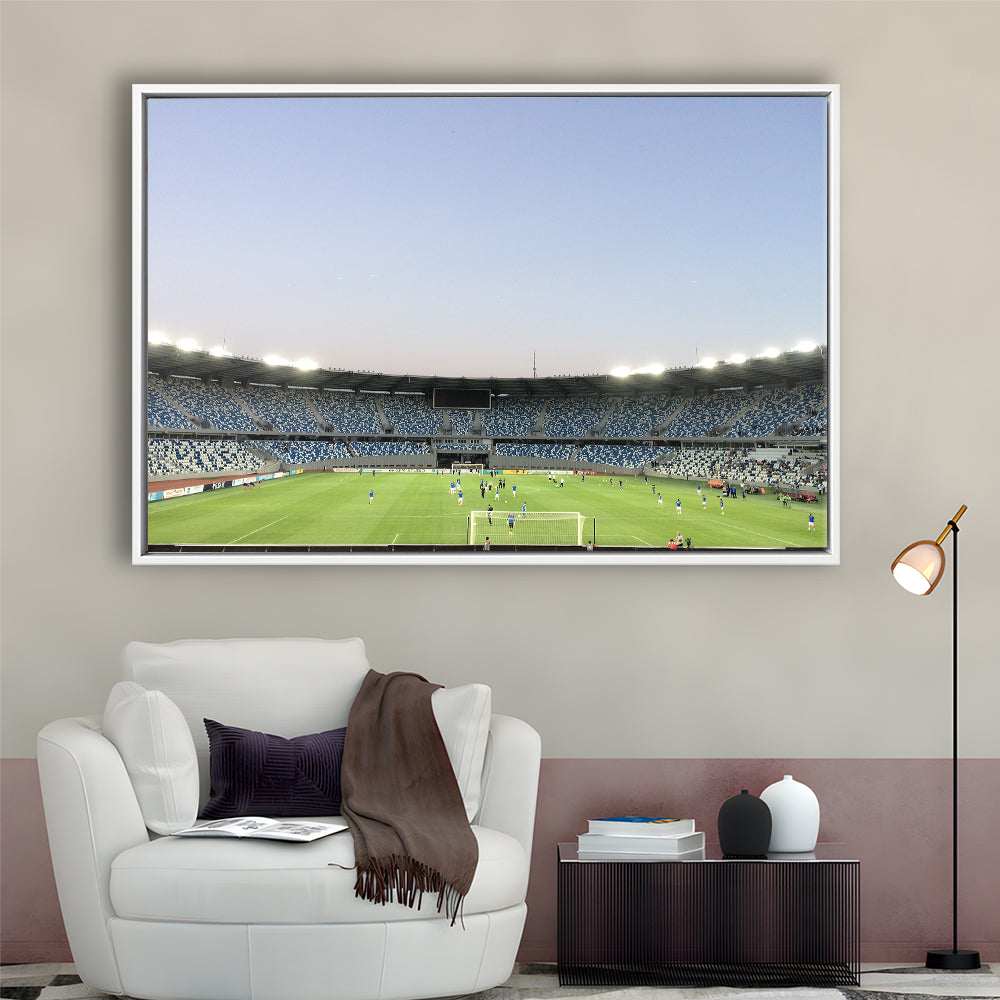 Boris Paichadze Dinamo, Stadium Canvas, Sport Art, Framed Canvas Print Wall Art, Floating Frame