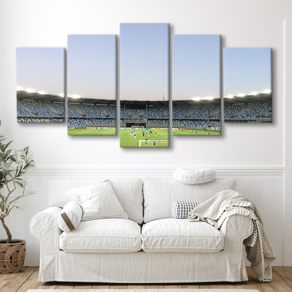 Boris Paichadze Dinamo, Stadium Canvas, Sport Art, Gift for him, 5 Panel, Large Canvas, Canvas Print Wall Art
