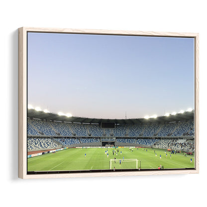 Boris Paichadze Dinamo, Stadium Canvas, Sport Art, Framed Canvas Print Wall Art, Floating Frame
