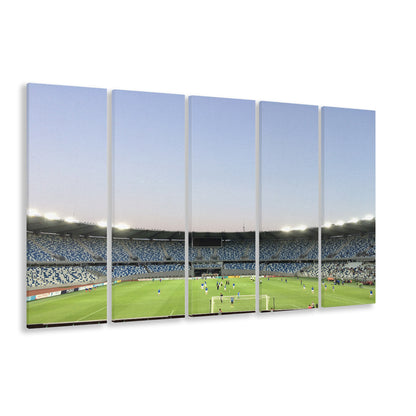 Boris Paichadze Dinamo, Stadium Canvas, Sport Art, 5 Panel B, Extra Large Canvas, Canvas Print Wall Art