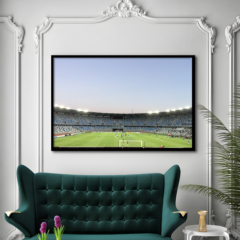 Boris Paichadze Dinamo, Stadium Canvas, Sport Art, Gift for him, Framed Art Print Wall Decor, Picture Framed
