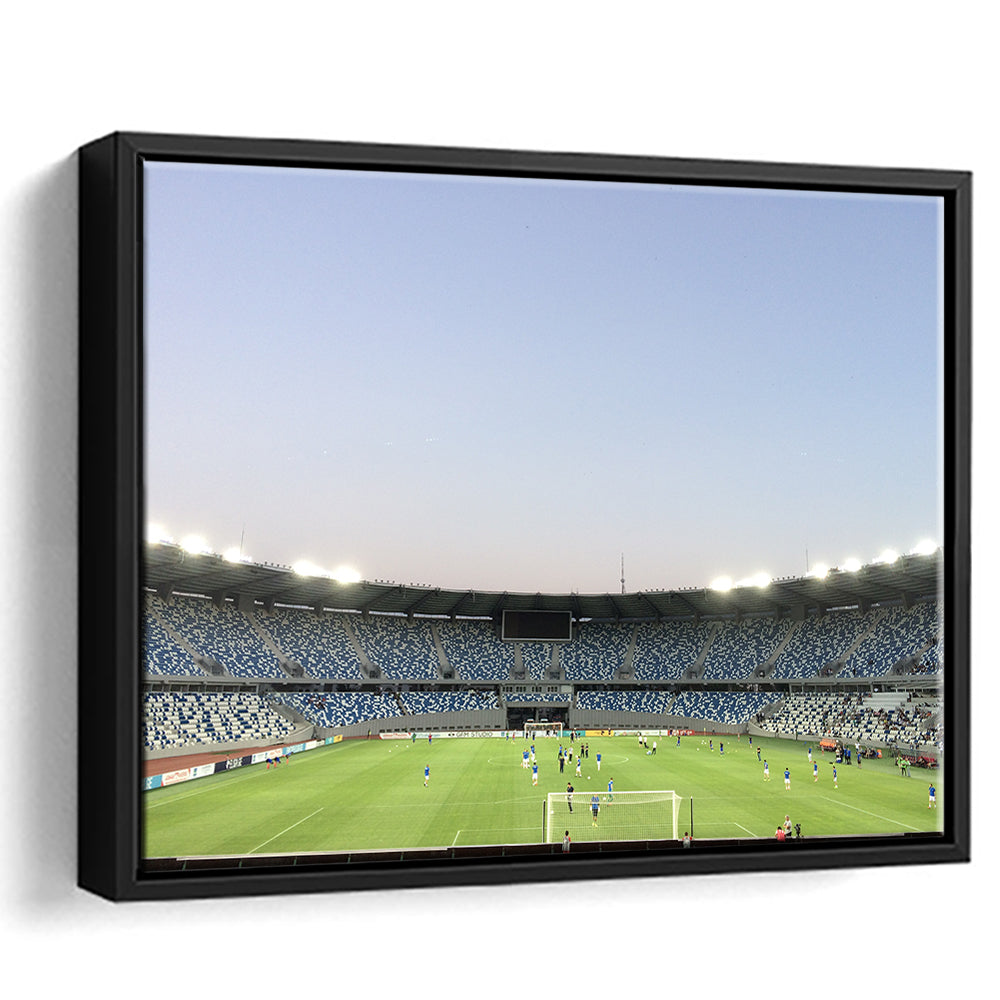 Boris Paichadze Dinamo, Stadium Canvas, Sport Art, Framed Canvas Print Wall Art, Floating Frame