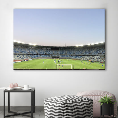 Boris Paichadze Dinamo, Stadium Canvas, Sport Art, Gift for him, Man Cave Decor, Art Print, Canvas Print Wall Art