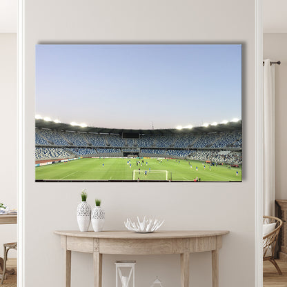 Boris Paichadze Dinamo, Stadium Canvas, Sport Art, Gift for him, Man Cave Decor, Art Print, Canvas Print Wall Art