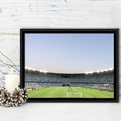 Boris Paichadze Dinamo, Stadium Canvas, Sport Art, Framed Canvas Print Wall Art, Floating Frame