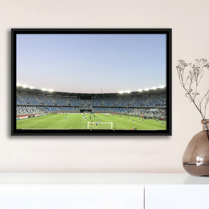Boris Paichadze Dinamo, Stadium Canvas, Sport Art, Framed Canvas Print Wall Art, Floating Frame