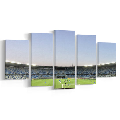 Boris Paichadze Dinamo, Stadium Canvas, Sport Art, Gift for him, 5 Panel, Large Canvas, Canvas Print Wall Art