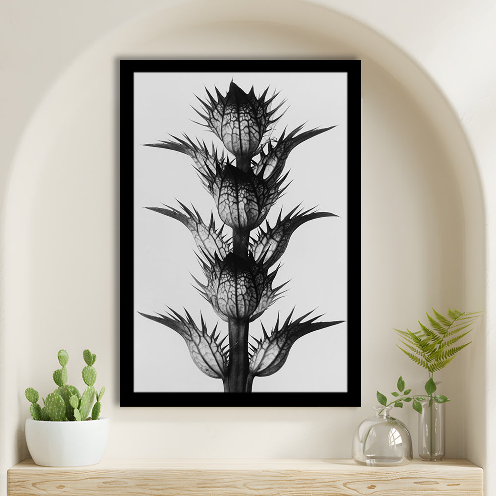 Botanical Photography Black and White Art Minimalist Wall Art, Framed Art Print Wall Decor