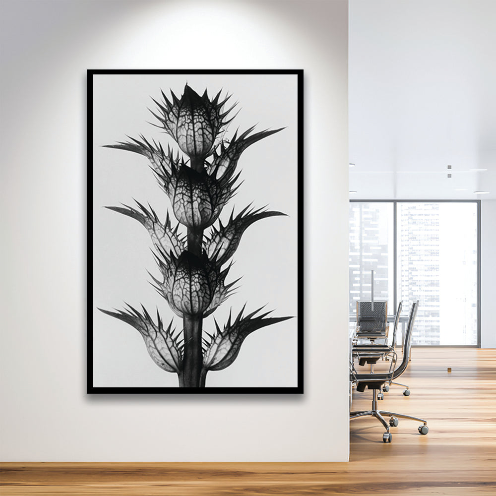 Botanical Photography Black and White Art Minimalist Wall Art, Framed Art Print Wall Decor
