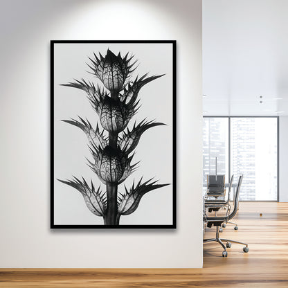 Botanical Photography Black and White Art Minimalist Wall Art, Framed Art Print Wall Decor