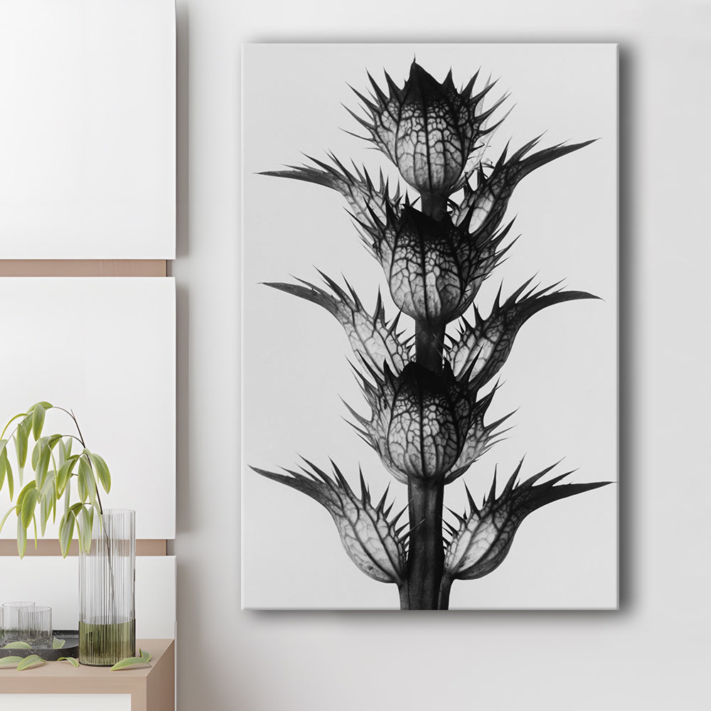 Botanical Photography Black and White Art Minimalist Wall Art, Canvas Print Wall Art