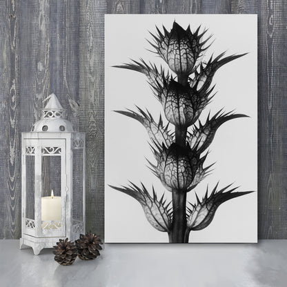 Botanical Photography Black and White Art Minimalist Wall Art, Canvas Print Wall Art