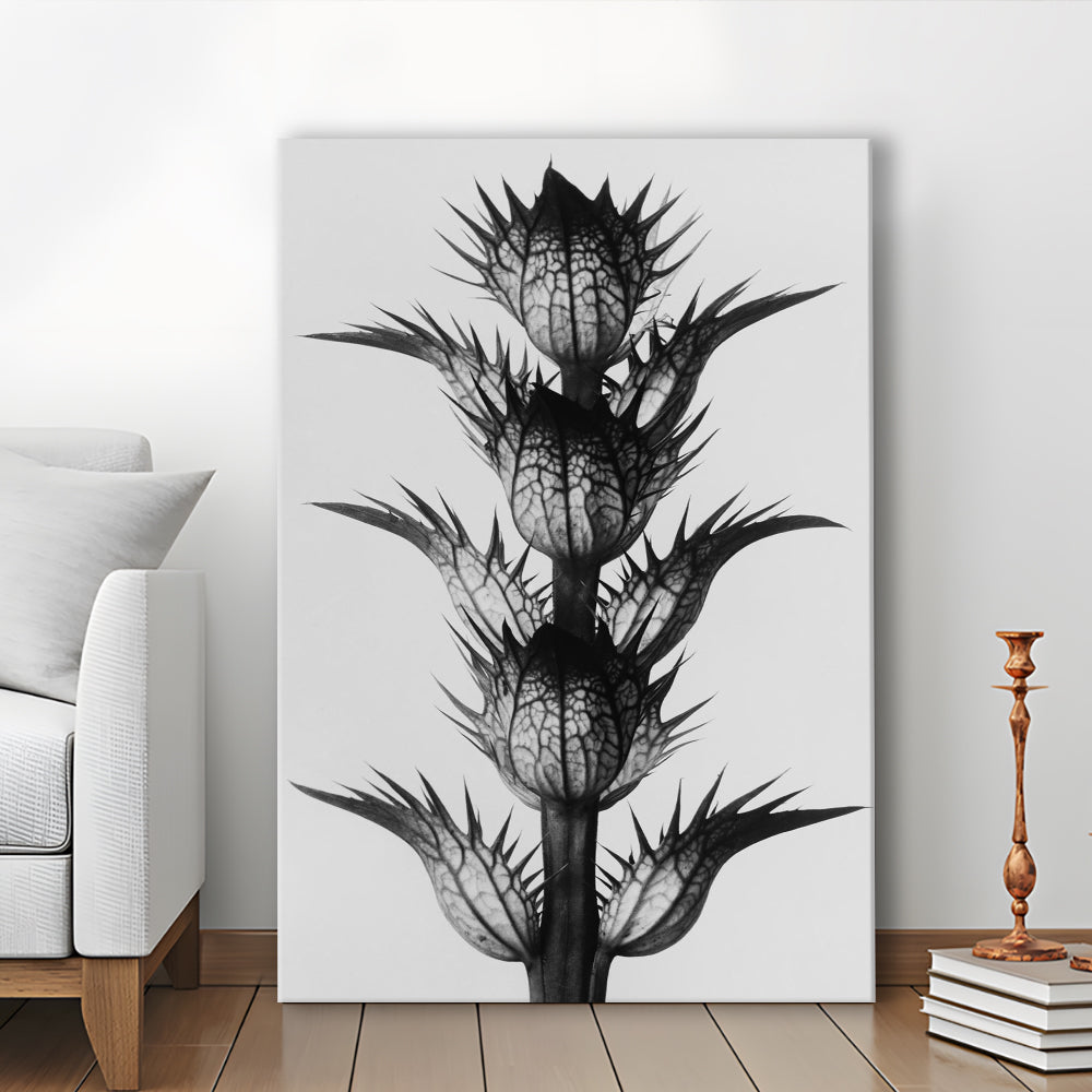 Botanical Photography Black and White Art Minimalist Wall Art, Canvas Print Wall Art