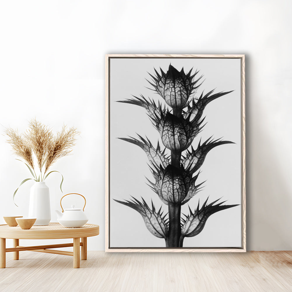 Botanical Photography Black and White Art Minimalist Wall Art, Floating Framed Canvas Print