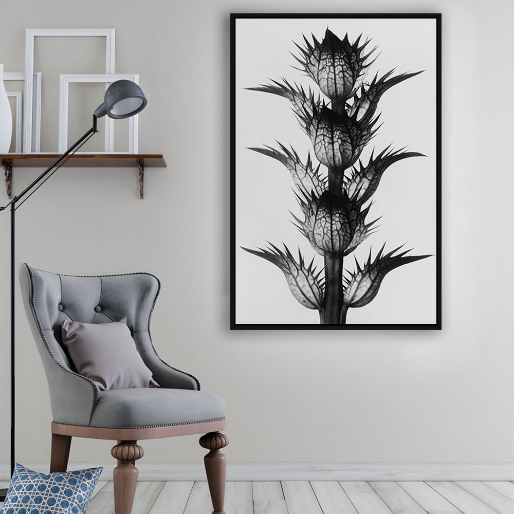 Botanical Photography Black and White Art Minimalist Wall Art, Floating Framed Canvas Print