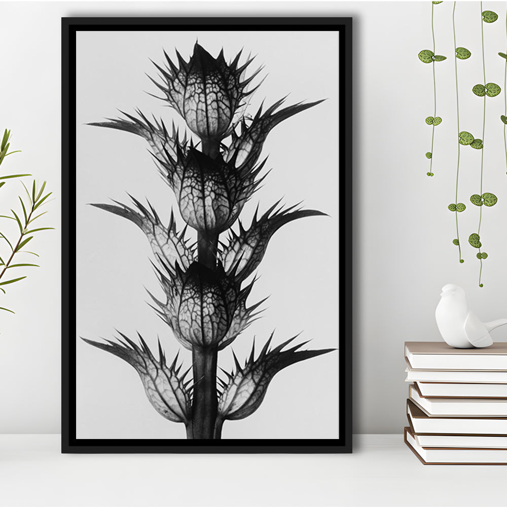 Botanical Photography Black and White Art Minimalist Wall Art, Floating Framed Canvas Print