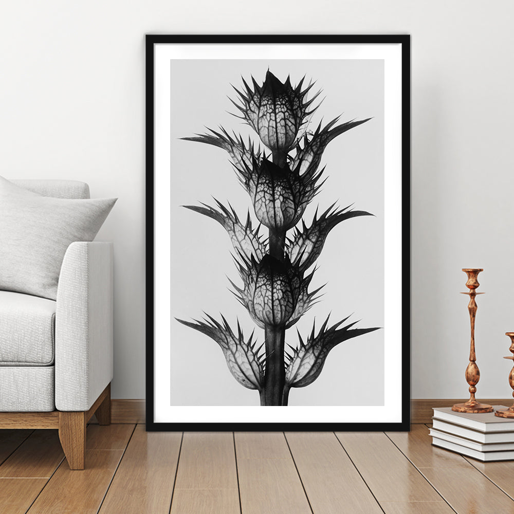Botanical Photography Black and White Art Minimalist Wall Art, Framed Art Print White Border Wall Decor