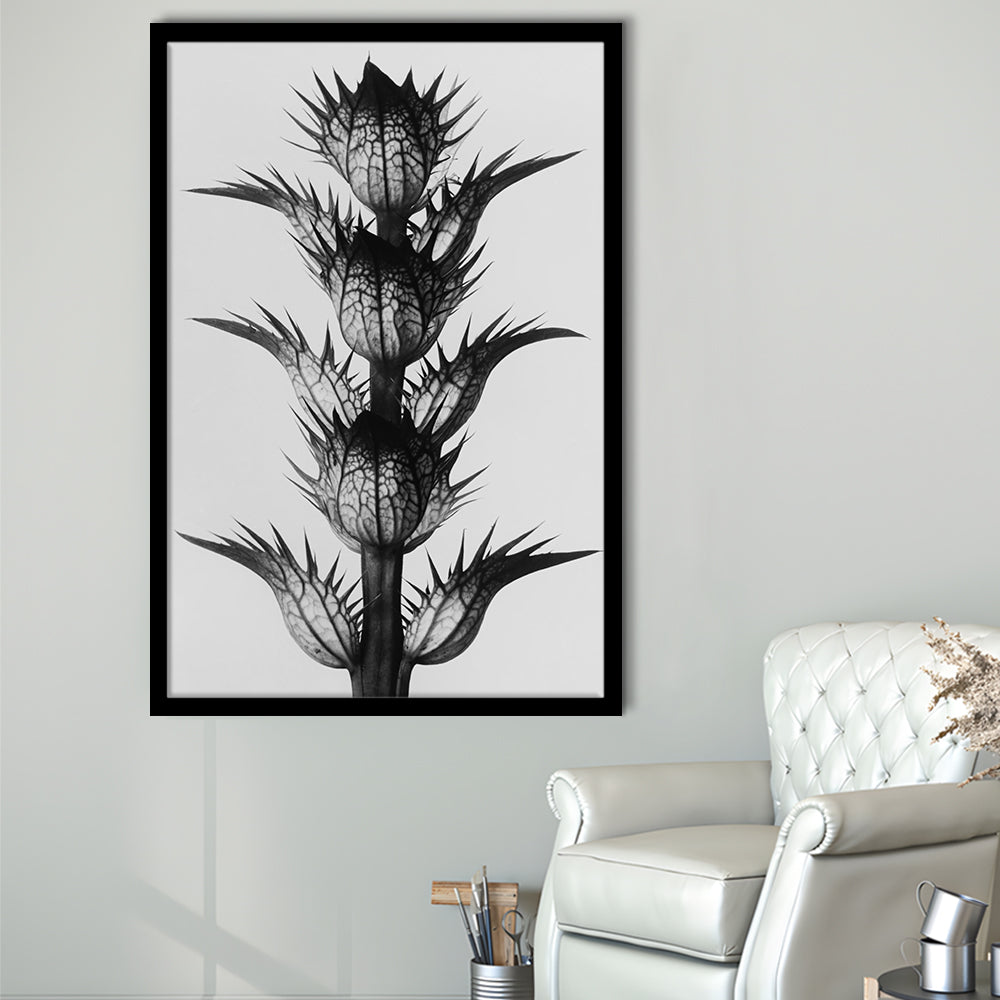 Botanical Photography Black and White Art Minimalist Wall Art, Framed Art Print Wall Decor