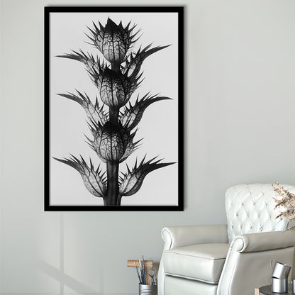Botanical Photography Black and White Art Minimalist Wall Art, Framed Art Print Wall Decor