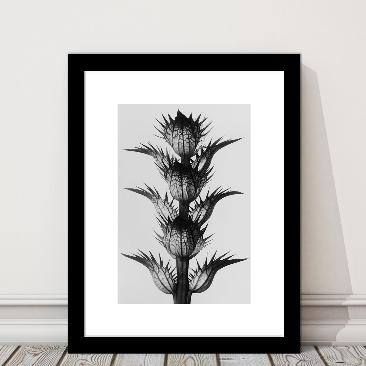 Botanical Photography Black and White Art Minimalist Wall Art, Framed Art Print White Border Wall Decor