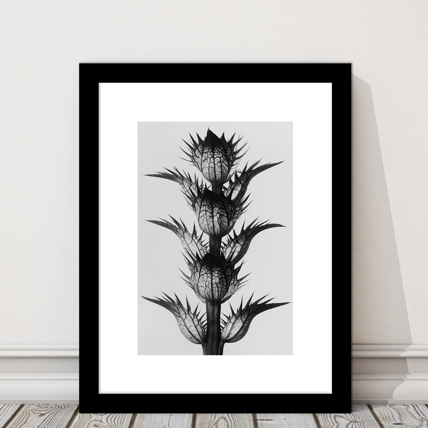 Botanical Photography Black and White Art Minimalist Wall Art, Framed Art Print White Border Wall Decor