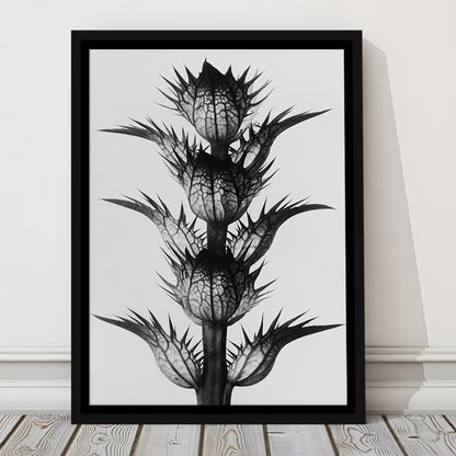 Botanical Photography Black and White Art Minimalist Wall Art, Floating Framed Canvas Print