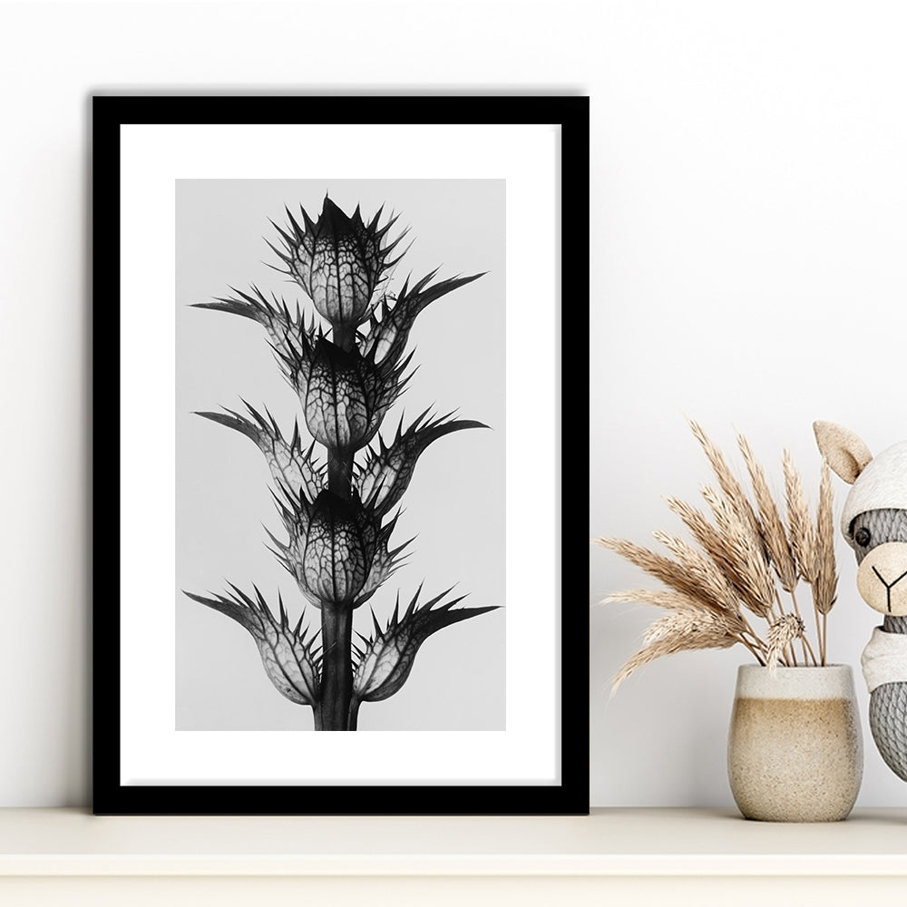 Botanical Photography Black and White Art Minimalist Wall Art, Framed Art Print White Border Wall Decor