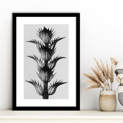 Botanical Photography Black and White Art Minimalist Wall Art, Framed Art Print White Border Wall Decor