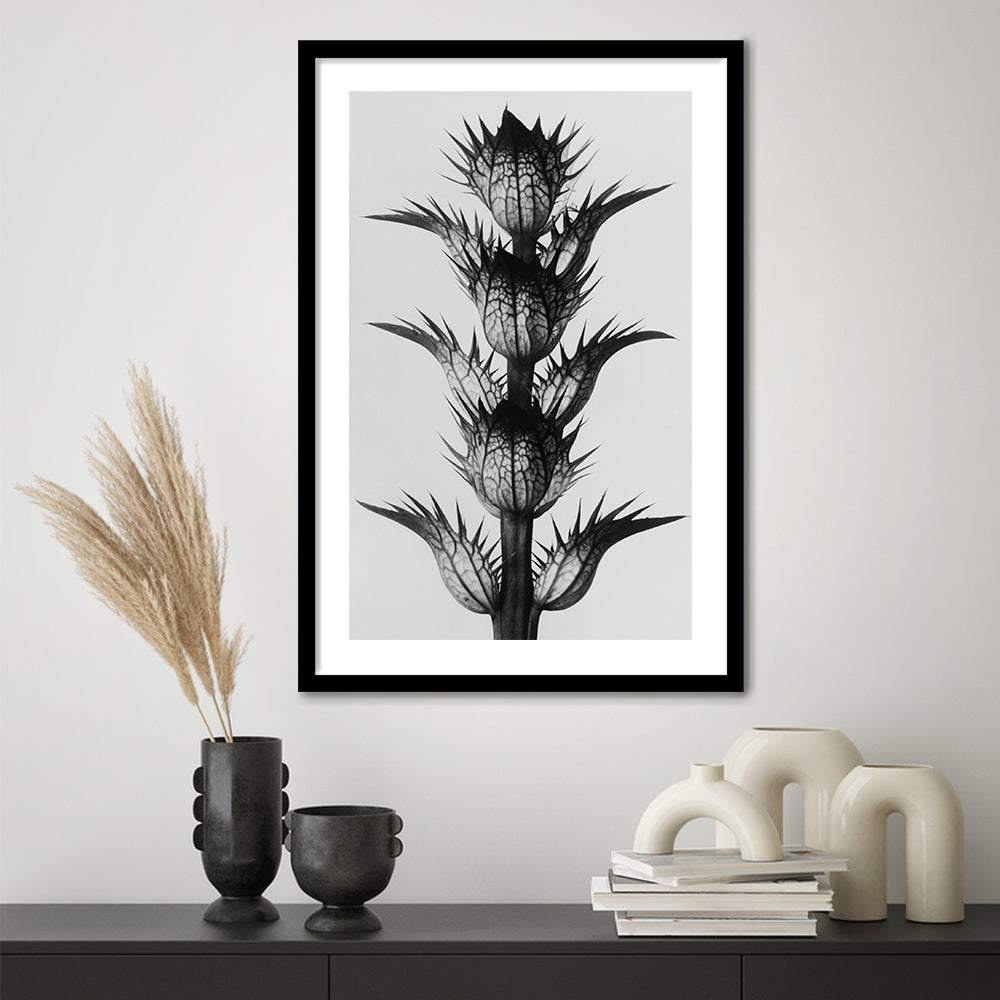 Botanical Photography Black and White Art Minimalist Wall Art, Framed Art Print White Border Wall Decor