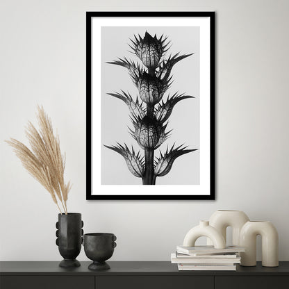 Botanical Photography Black and White Art Minimalist Wall Art, Framed Art Print White Border Wall Decor