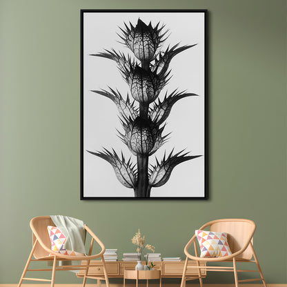 Botanical Photography Black and White Art Minimalist Wall Art, Floating Framed Canvas Print