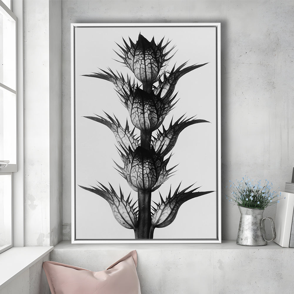 Botanical Photography Black and White Art Minimalist Wall Art, Floating Framed Canvas Print