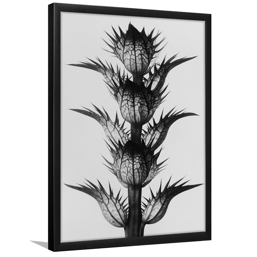 Botanical Photography Black and White Art Minimalist Wall Art, Framed Art Print Wall Decor