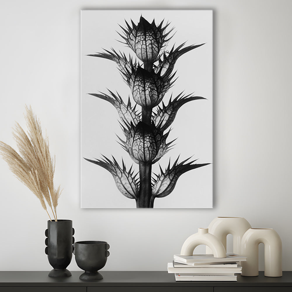Botanical Photography Black and White Art Minimalist Wall Art, Canvas Print Wall Art