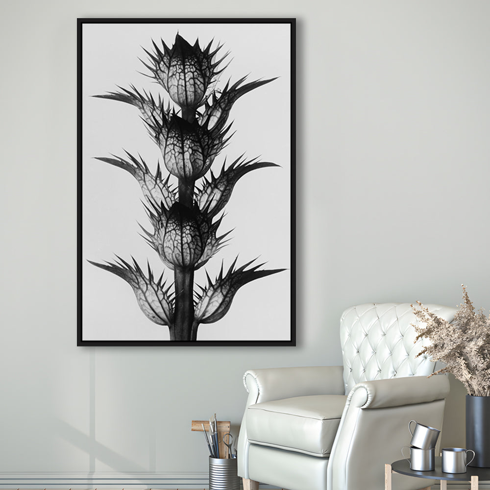 Botanical Photography Black and White Art Minimalist Wall Art, Floating Framed Canvas Print