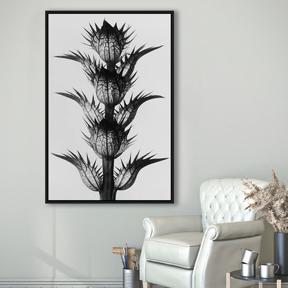 Botanical Photography Black and White Art Minimalist Wall Art, Floating Framed Canvas Print