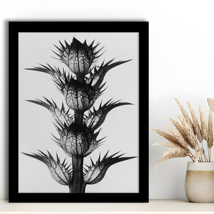 Botanical Photography Black and White Art Minimalist Wall Art, Framed Art Print Wall Decor