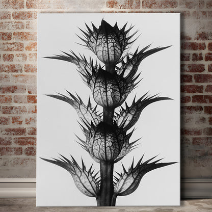 Botanical Photography Black and White Art Minimalist Wall Art, Canvas Print Wall Art