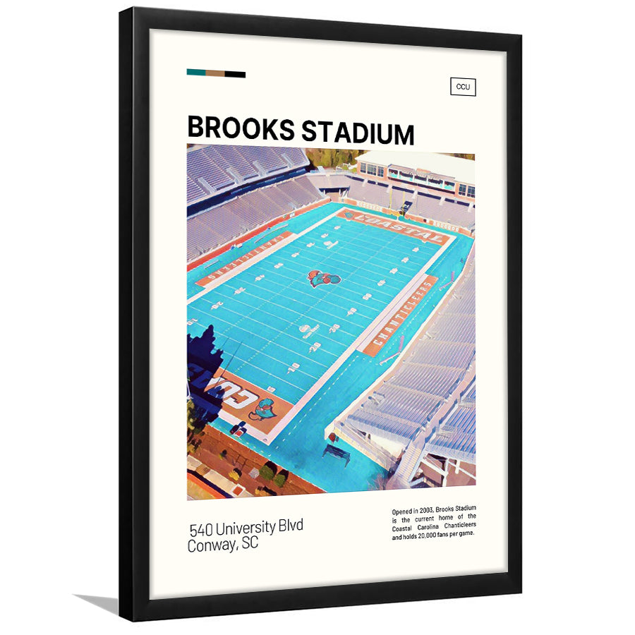 Brooks Stadium Print, Coastal Carolina Chanticleers Stadium Art, Gifts for him, Sport Art, Framed Art Print Wall Decor