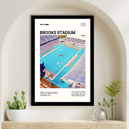 Brooks Stadium Print, Coastal Carolina Chanticleers Stadium Art, Gifts for him, Sport Art, Framed Art Print Wall Decor