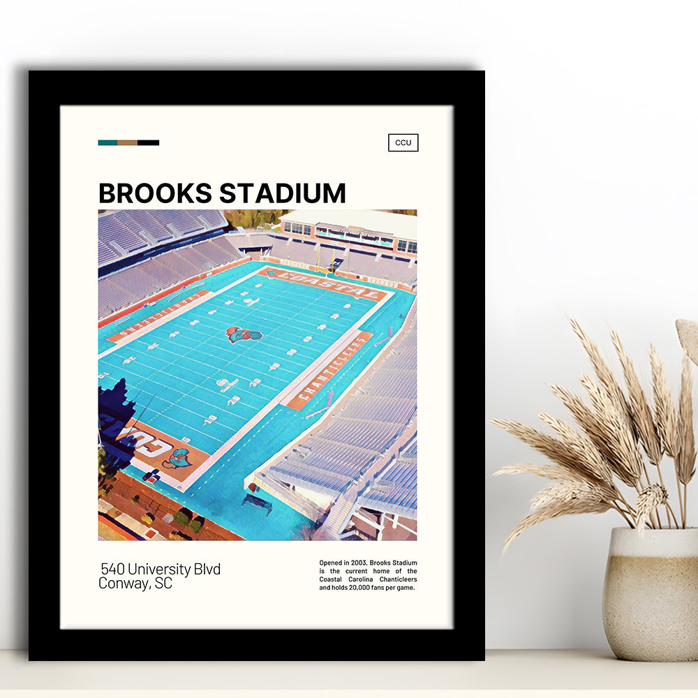 Brooks Stadium Print, Coastal Carolina Chanticleers Stadium Art, Gifts for him, Sport Art, Framed Art Print Wall Decor