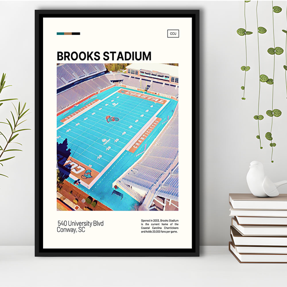 Brooks Stadium Print, Coastal Carolina Chanticleers Stadium Canvas Art, Man Cave Gift, Floating Framed Canvas Print