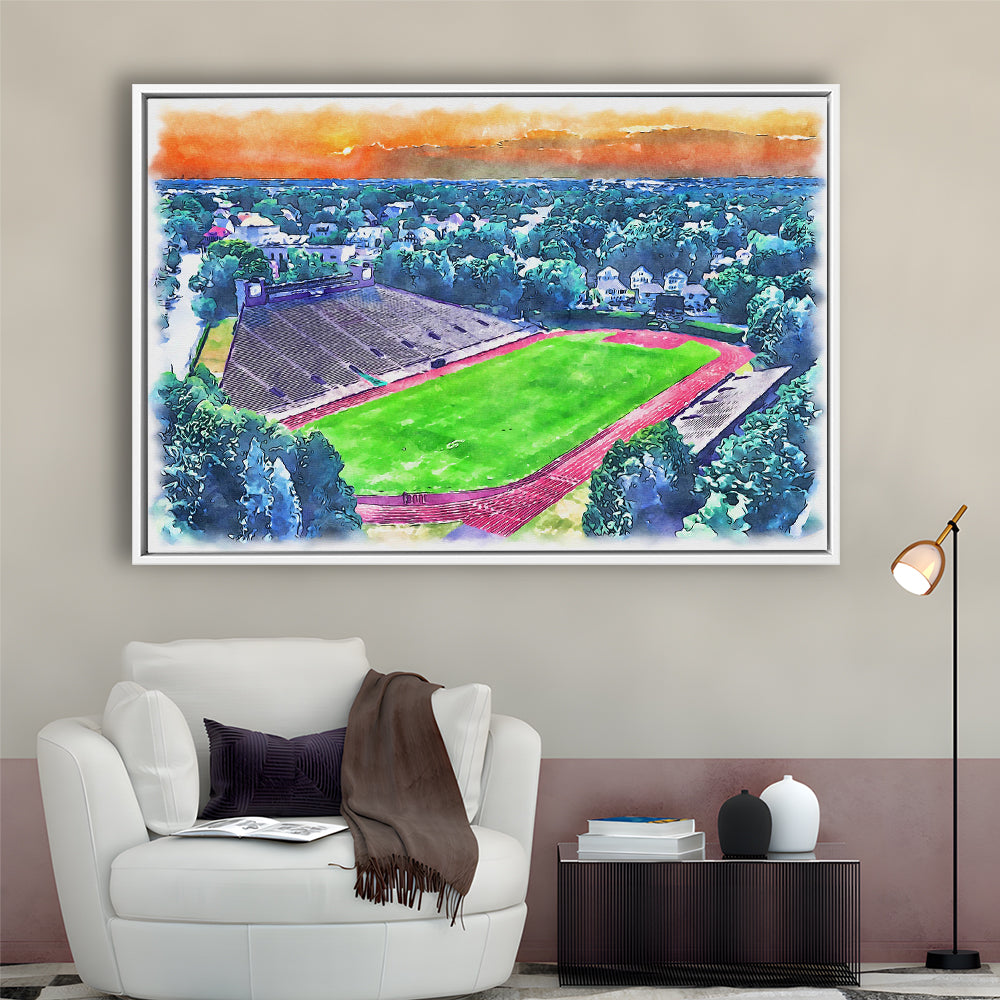 Brown Painting Stadium Watercolor, Providence Rhode Island Watercolor, Sport Gift Art, Framed Canvas Print Wall Art