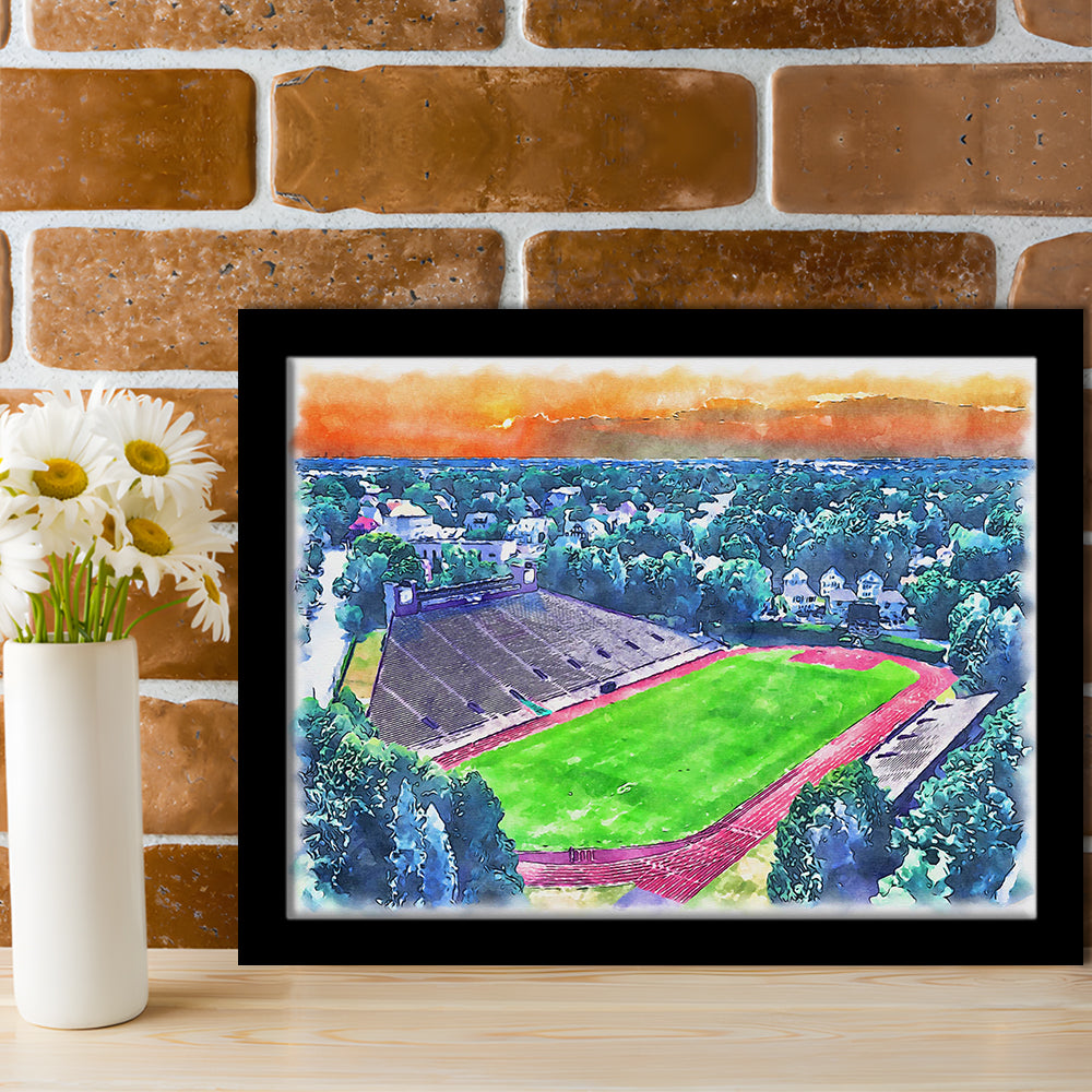 Brown Painting Stadium Watercolor, Providence Rhode Island Watercolor, Sport Gift Art, Framed Art Print Wall Decor