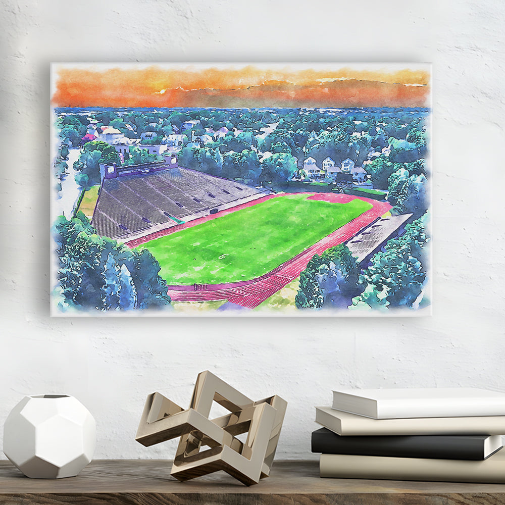 Brown Painting Stadium Watercolor, Providence Rhode Island Watercolor, Sport Art, Gifts for him, Canvas Print Wall Art