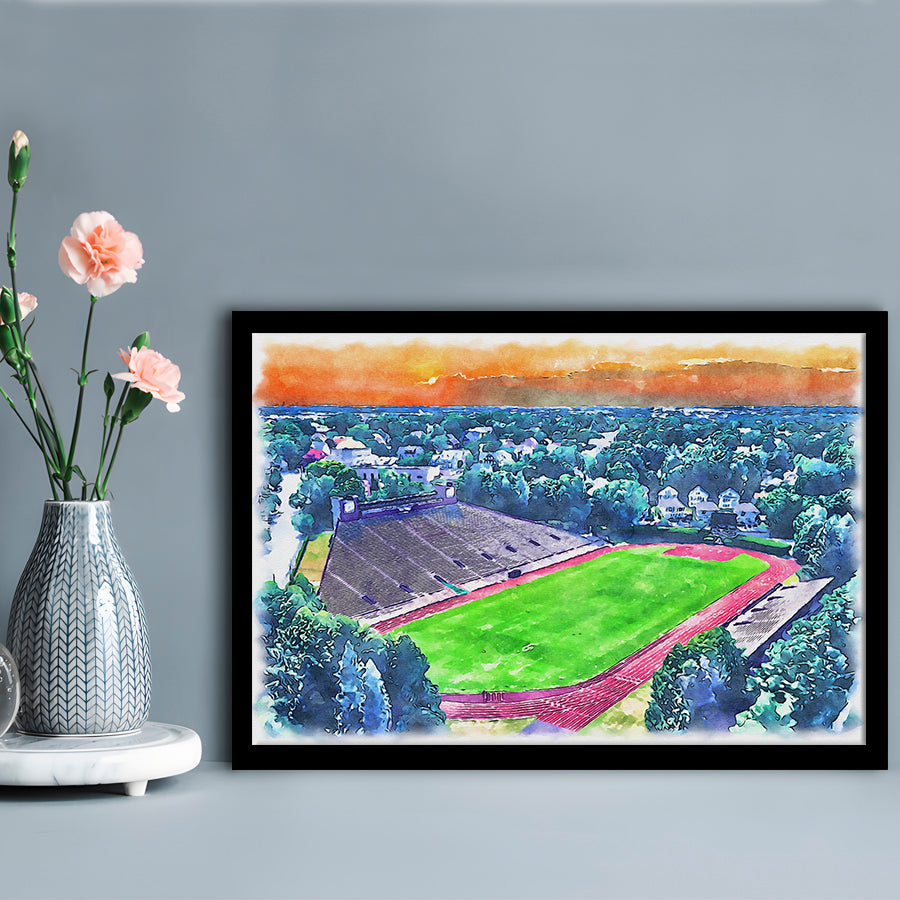 Brown Painting Stadium Watercolor, Providence Rhode Island Watercolor, Sport Gift Art, Framed Art Print Wall Decor
