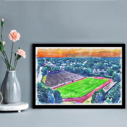 Brown Painting Stadium Watercolor, Providence Rhode Island Watercolor, Sport Gift Art, Framed Art Print Wall Decor