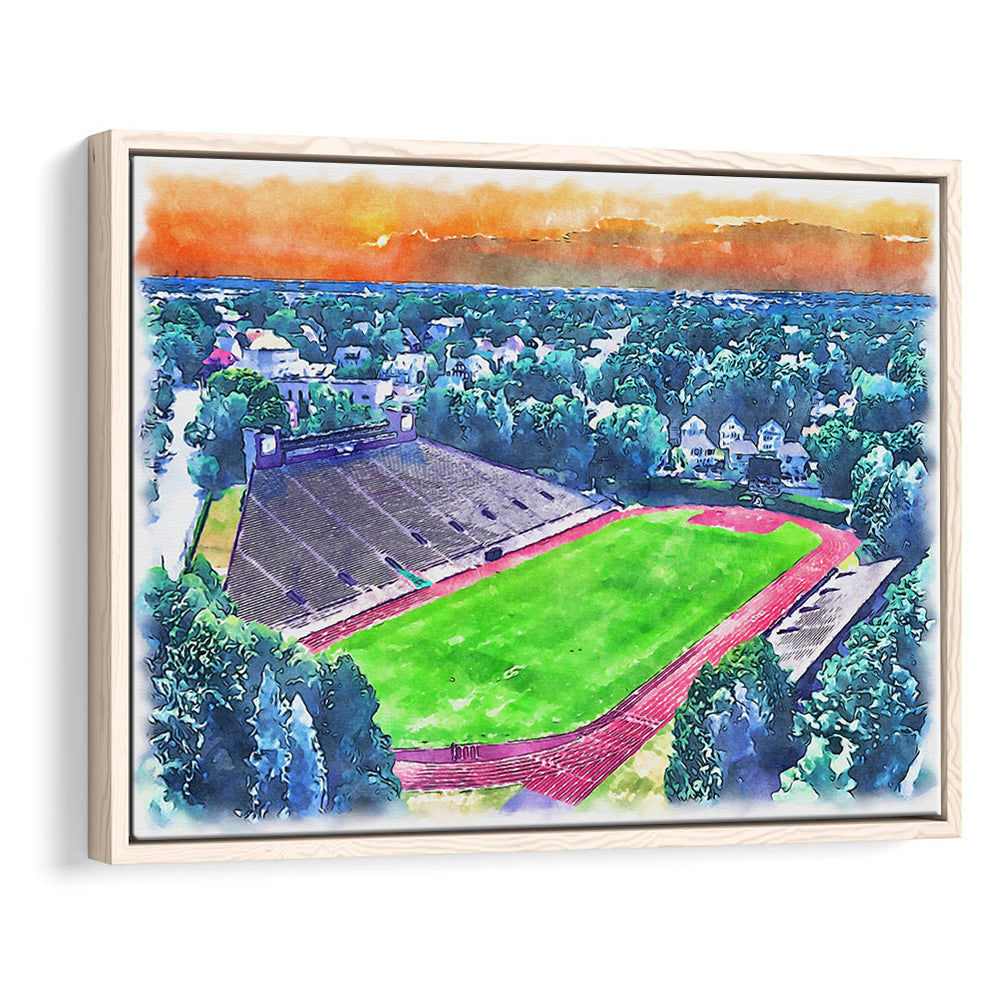 Brown Painting Stadium Watercolor, Providence Rhode Island Watercolor, Sport Gift Art, Framed Canvas Print Wall Art
