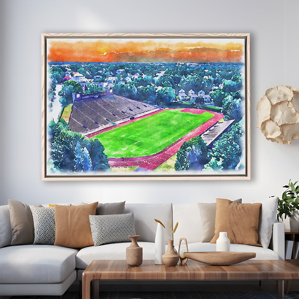 Brown Painting Stadium Watercolor, Providence Rhode Island Watercolor, Sport Gift Art, Framed Canvas Print Wall Art